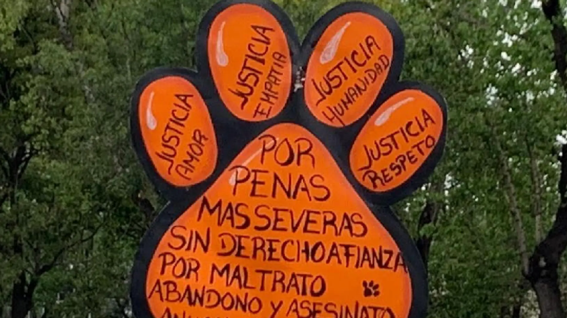 Perritos marcha